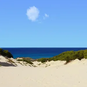 Almendra Cala Mesquida (Mallorca)